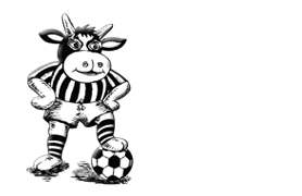 Sponsor_Foerderverein